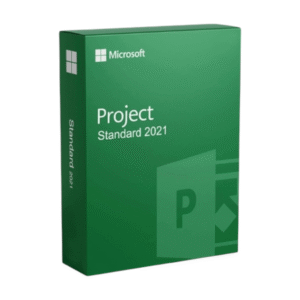 PROJECT 2021 PROFESSIONAL